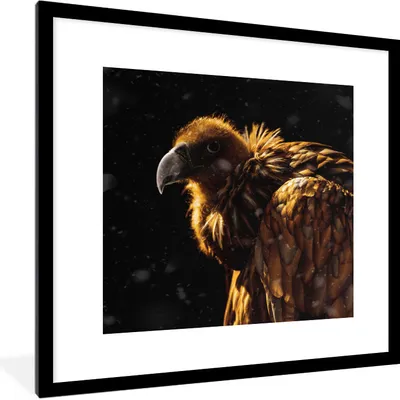 Produktbild von MuchoWow® MuchoWow® Gerahmtes Poster Geier - Sonne - Schwarz 40x40 cm - Poster mit zchwarzem Bilderrahmen - Poster - Plakat im Rahmen