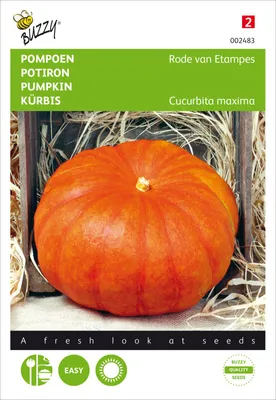 Image de Courge Rouge Vif d'Étampes | Graines de courge de Buzzy Seeds