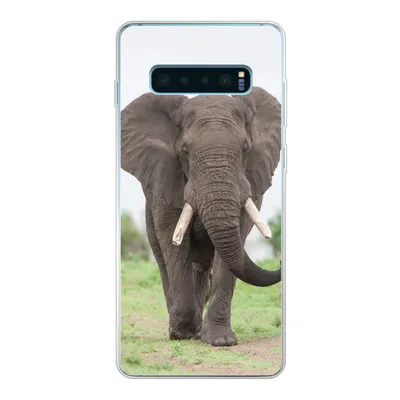 Produktbild von MuchoWow® Handyhülle Schutzhülle Hülle für Samsung Galaxy S10 Plus Elefant - Tiere - Gras - Natur Silikon Softcase Handy Hülle - Schutzhülle