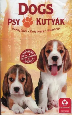 Obrázok produktu pre Animal Trumps Dogs Karty do gry