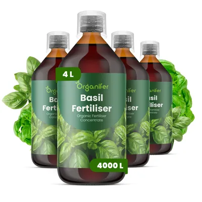 Produktbild von Flüssigdünger für Basilikum 4x1L – 2-1-8 NPK – Flüssigdünger Für Kräuter & Gemüse – Für Kräftige Blätter & Aromatische Kräuter – Organifer