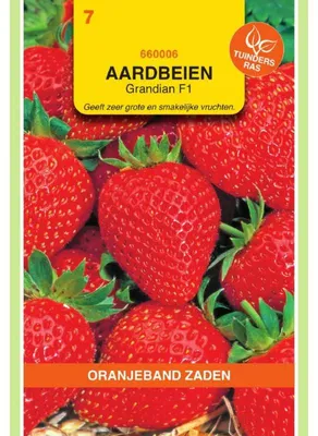 Zdjęcie produktu dla Oranjeband – truskawki Grandian – 1 opakowanie nasion