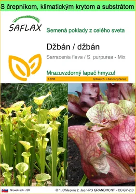 Obrázok produktu pre SAFLAX Garden to go - džbán / džbán - Sarracenia flava / S. purpurea - Mix - 10 Semená - S črepníkom, klimatickým vekom a pestovateľským substrátom
