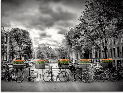 Produktbild von ARTland Glasbild Amsterdam Herengracht Sonnenstrahlen II Größe: 60x45 cm