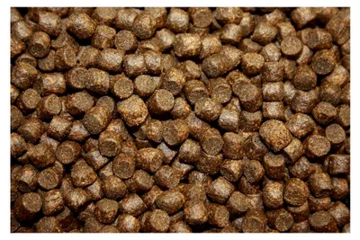 Produktbild von Winterfutter Koi Sinkfutter farbverstärkendes Koifutter für den Winter 5mm 5kg