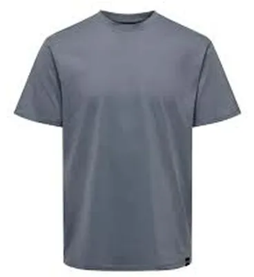 Imagen del producto de Camiseta Only & Sons 22025208-FLINT para Hombre