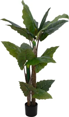 Zdjęcie produktu dla EUROPALMS Arrowleaf - Alocasia, sztuczna roślina, 140cm