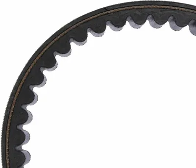 Immagine prodotto di Cinghia trasmissione MITSUBOSHI MBLSC019 20,1x797 per Kymco