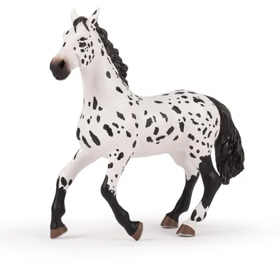Immagine prodotto di Papo 50199 Grande cavallo Appaloosa