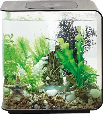Produktbild von biOrb FLOW 15 LED schwarz (72029)