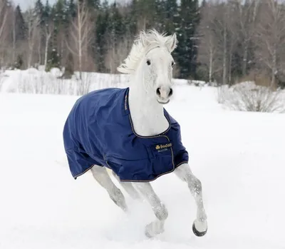 Produktbild von Bucas Irish Turnout 300 g, Outdoordecke, Weidedecke in zwei Farben, Farbe:Navy/Gold, Größe:145