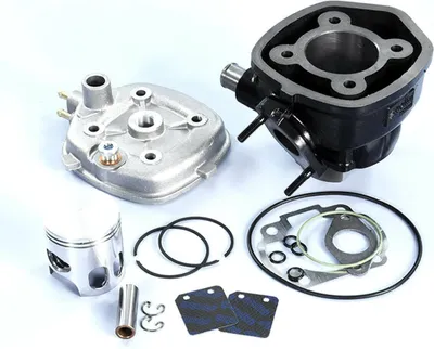 Immagine prodotto di Gruppo termico POLINI Yamaha/Aprilia SR H2O/Malaguti F12 LC