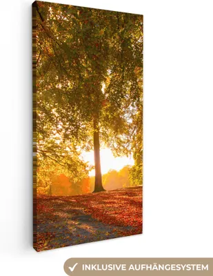 Produktbild von MuchoWow® - Leinwandbilder - Herbst - Licht - Wald, Wandbild, Wanddeko Bilder Wohnzimmer, 40x80 cm