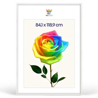 Produktbild von MG Design Bilderrahmen Weiß A0 84,1x118,9 cm - Posterrahmen Echtholz mit Acrylglas, verstärkte Wandaufhängung, hoch/quer