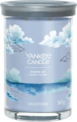 Produktbild von Yankee Candle Signature, Zylinder, Blau, Bernstein, Jasmin, Sandelholz, 100 h, 1 Stück(e)