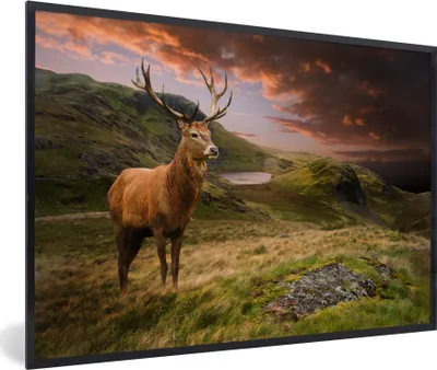 Produktbild von MuchoWow® MuchoWow® Gerahmtes Poster Hirsche - Berge - Natur 90x60 cm - Poster mit zchwarzem Bilderrahmen - Fotorahmen - Foto-Plakat