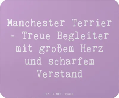 Produktbild von Mr. & Mrs. Panda Mauspad Spruch Manchester Terrier Begleiter - Lavendeltraum - Geschenk, Mouse Pad, mousematte, Hunderassen, treue, aufgeweckter Hund, treuer, pc, Pflege