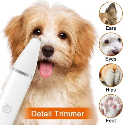 Image de Kit de tondeuse 4 en 1 pour chats et chiens - tondeuse sans fil et silencieuse pour chiens et chats - rechargeable - tondeuse puissante et silencieuse