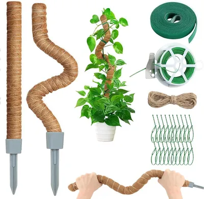 Productafbeelding van Mosstok set van 2 - 100 cm - Plantensteun voor Klimplanten en Monstera
