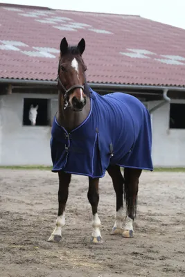 Image de Classic Polarfleece De Mbl 6'3