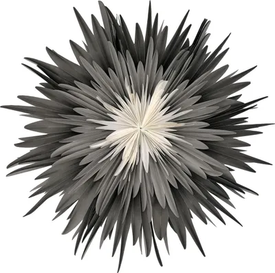 Produktbild von Stella-Dalia, Pergamentpapier anthrazit-grau-weiß 60 cm
