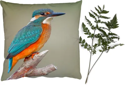Produktbild von MuchoWow® Zierkissen Sofakissen Wohnzimmer Dekokissen 50x50 cm Vogel - Eisvogel - Zweig - Komfort - Sofakissen