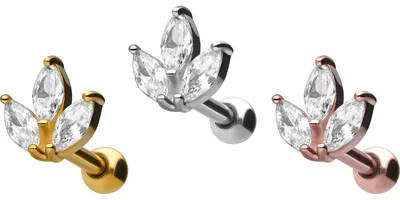Produktbild von Ohrpiercing Chirurgenstahl Ohrpiercing KRISTALLBLÄTTER