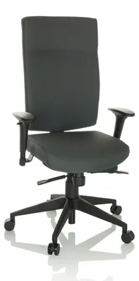 Produktbild von hjh OFFICE Profi Bürostuhl PRO-TEC 300 Ergonomischer Schreibtischstuhl mit Armlehnen (höhenverstellbar) Stoff Anthrazit Drehstuhl für Büro, Zuhause