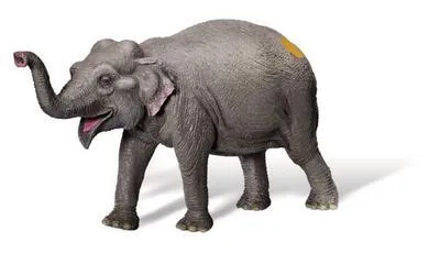 Produktbild von tiptoi® Asiatischer Elefant