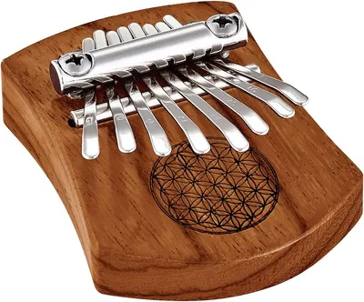 Image de Mini kalimba Meinl Sonic Energy KL802FOL