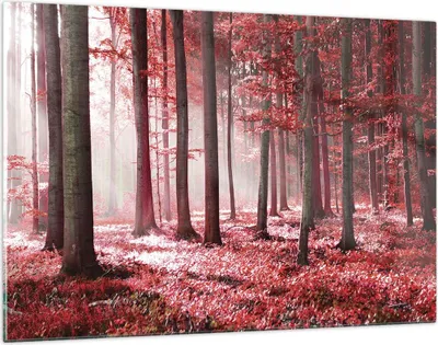 Produktbild von Bilder auf glas - Einteilig - Wald Rot Bäume - 120x80cm - Glasbilder - Wandbilder - Bilder - zum Aufhängen bereit - Wanddekoration aus Glas - Glas Bilder - Wandbild auf Glas - GAA120x80-4944
