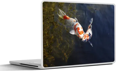 Produktbild von MuchoWow® Laptop Aufkleber Sticker Cover Zwei Koi-Karpfen im Wasser 31x22.5 cm - Laptop-Deko