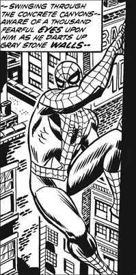 Produktbild von Komar Fototapete Spider-Man Schwarz-Weiß - 610724 - 100 x 200 cm