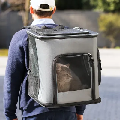Produktbild von Navaris Rucksack für Hund Katze gepolstert - Hunderucksack Katzenrucksack mit Bauchgurt - 41x34,5x43cm Haustier Backpack faltbar - Traglast bis 12kg