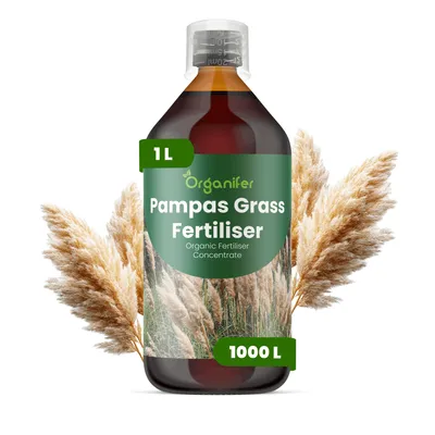 Zdjęcie produktu dla Pampasowa Trawa Nawóz Płynny 1 L – 2-1-8 NPK – Do Pampovú Trawę – Podporuje Bujny Wzrost i Zdrowe Liście – Organifer