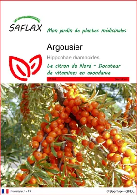 Image de SAFLAX  - Argousier - 40 graines - Hippophae