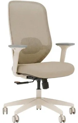 Productafbeelding van Ergonomische kantoork stoel C5W-F1, draagvermogen tot 150 kg, met mesh-stof bekleding, beige kleur