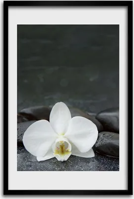 Produktbild von Bild - Bilderrahmen - 40 cm x 60 cm - MDF - Rahmen - Wandkunst - Orchideen Steine