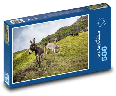 Produktbild von Puzzle 500 Esel auf der Bergweide - martinpuzzle