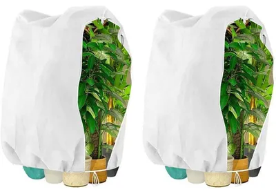 Image de Protection hivernale pour plantes, tente de protection, 120 x 140 cm, blanche, lot de 2