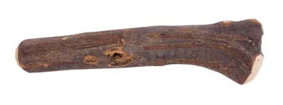 Image de Dog Woodzzz Bois d'olivier