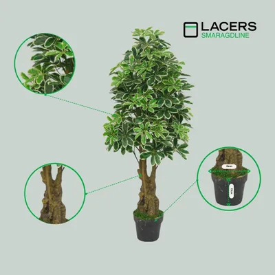 Produktbild von Lacers SMARAGDLINE pflegeleichte künstliche Schefflera – Strahlenaralie 130cm - realistische Optik, Dekoration für Wohnzimmer, Balkon und Büroräume