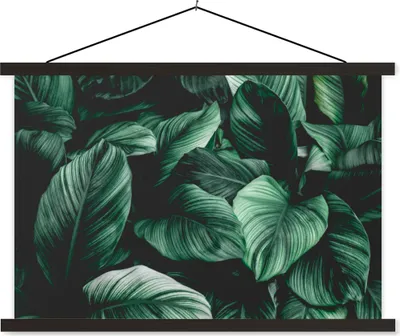 Produktbild von MuchoWow® Textilposter Dschungel - Blätter - Tropisch - Pflanzen - Natur 150x100 cm mit schwarzem Rahmen - Schlafzimmer