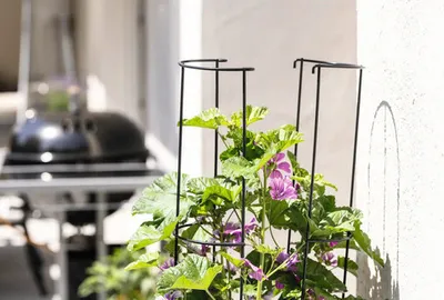 Obrázek produktu pro Opora pro popínavé rostliny sloupová dvoudílná FloraSelf 125 cm