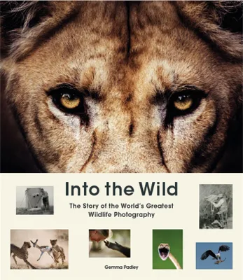 Produktbild von Into the Wild
