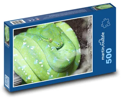 Obrázok produktu pre Puzzle 500 Zelená krajta v prírode - martinpuzzle
