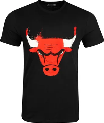 Zdjęcie produktu dla Koszulka New Era NBA - SPRAY Chicago Bulls schwarz - M