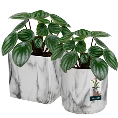 Obrázek produktu pro KOTARBAU® 2 ks. Květináč keramický kulatý ⌀12cm guadratic 12x12cm mramor matný cachepot keramické cachepoty pro pokojové rostliny květináč moderní mramorový vzhled malé cachepoty květináč na rostliny keramický cachepot
