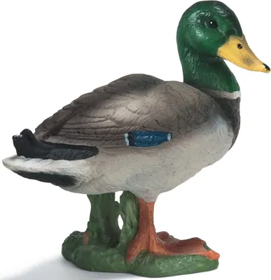 Produktbild von Schleich Farm Life Drake Figure 3+ Yearbeschädigt