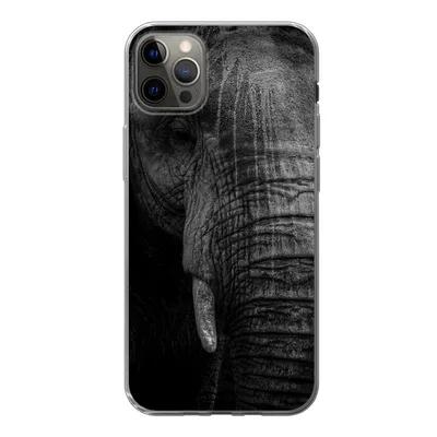 Produktbild von MuchoWow® Handyhülle Schutzhülle Hülle für iPhone 12 Pro Max Elefant - Tier - Porträt Silikon Softcase Handy Hülle - Hartschale